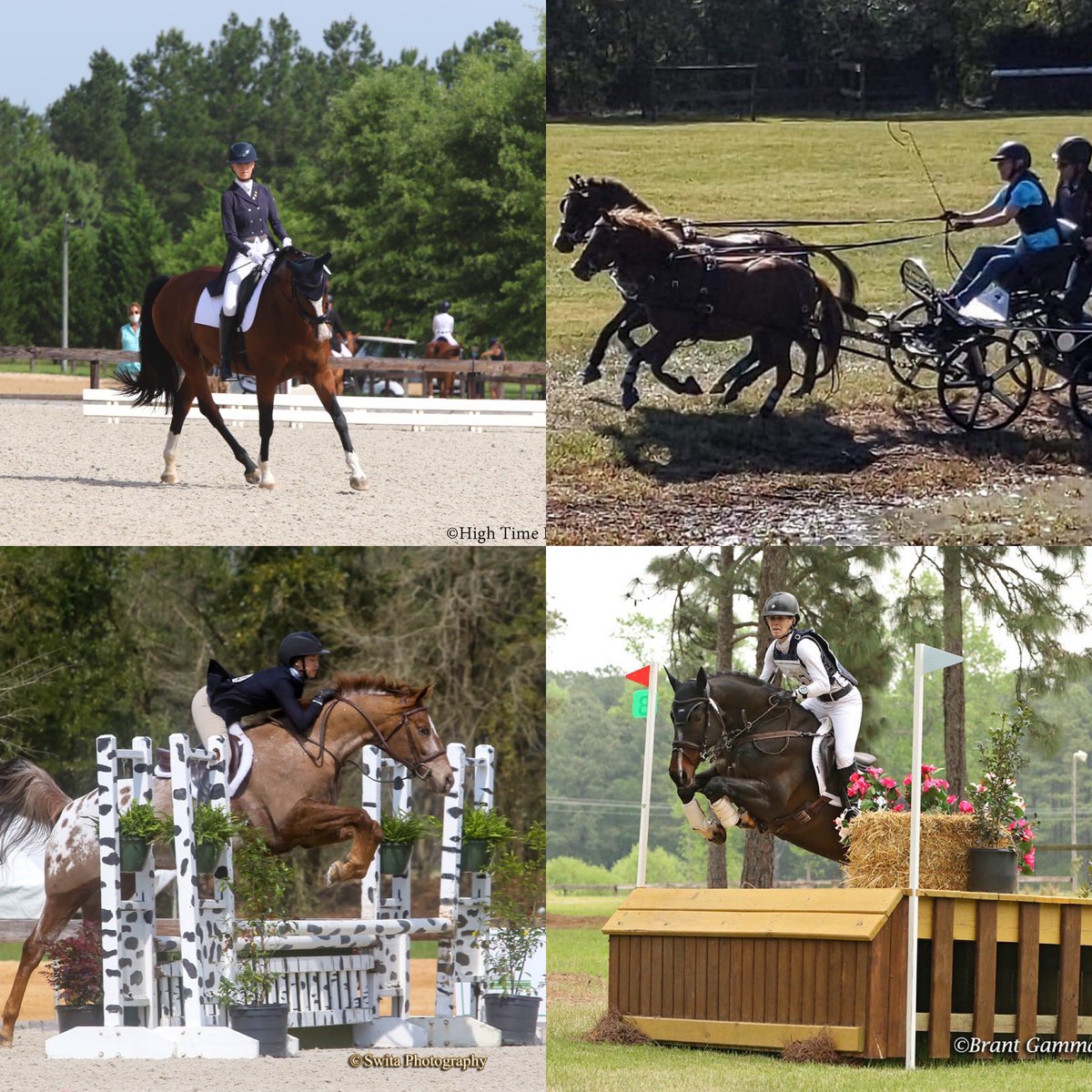 CarolinaHorsePk's tweet photo. Who benefits from The CHP Envelope Challenge? EVERYONE!
Hunter Jumpers Dressage Riders Eventers Drivers Horses Ponies Competitors Volunteers Spectators Vendors Sponsors  Grooms Owners Food Trucks Students Educators Event Staff https://t.co/kC5JFy1Udm