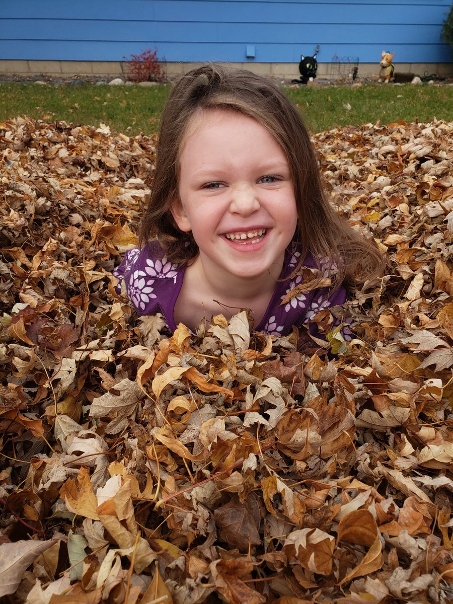 silversj's tweet photo. Today was a perfect day for playing in a giant pile of leaves! 
#5YearsOld #Autumn #SundayFunday #love #LeafPile #MinnesotaFall https://t.co/7yU3H6baV0