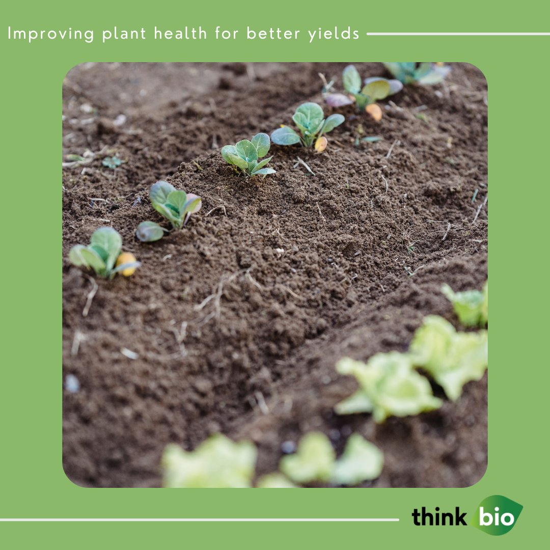 Thinkbio_Ag's tweet photo. A controversial area of agriculture is the opinions of non-meat eaters, however vegetarians and vegans can find a common ground with the agriculture industry when it comes to regenerative farming. 

https://t.co/nHxN00zHMG https://t.co/sZm1EAO1YW