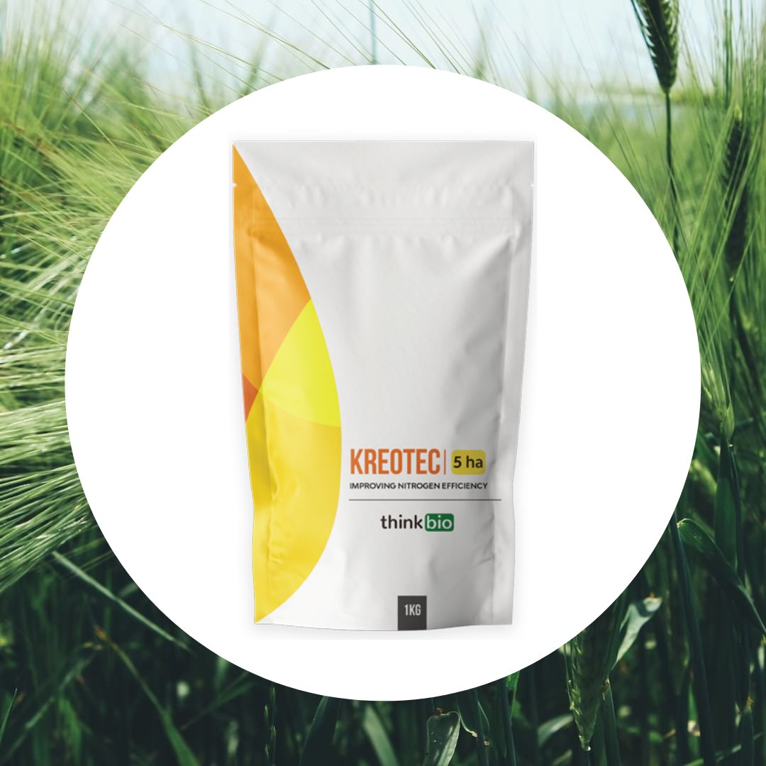 Thinkbio_Ag's tweet photo. KREOTEC

Thinkbio's solution to compliment and/or reduce reliance on synthetic fertilisers! 

Kreotec ’s multi-action approach contributes to increased crop yield, produce quality and improved crop resilience.

Check it out on our website: https://t.co/V2vFFMIVj5 https://t.co/UDkzOAIWVO