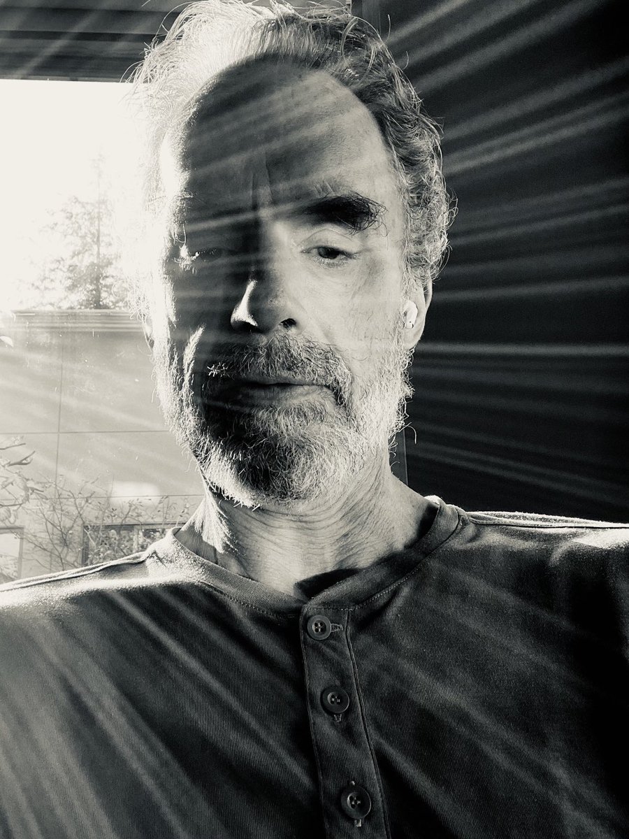 jordanbpeterson's tweet image. Sunlight today...