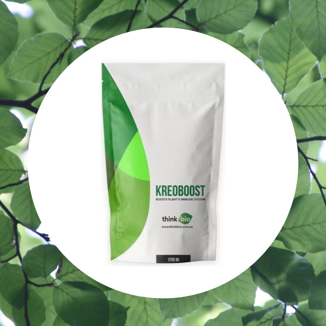 Thinkbio_Ag's tweet photo. Kreoboost 

Boosts plant's immune system! 

Learn more about the Kreo range on our website: https://t.co/aLYCzo92rW https://t.co/GUuX5g8Iye