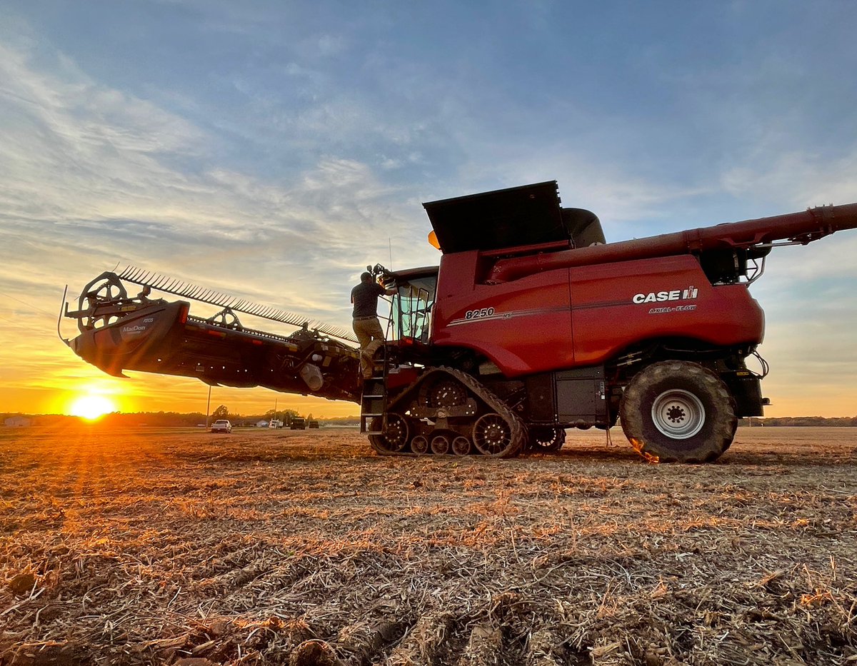 A beautiful #harvest21 evening ☀️