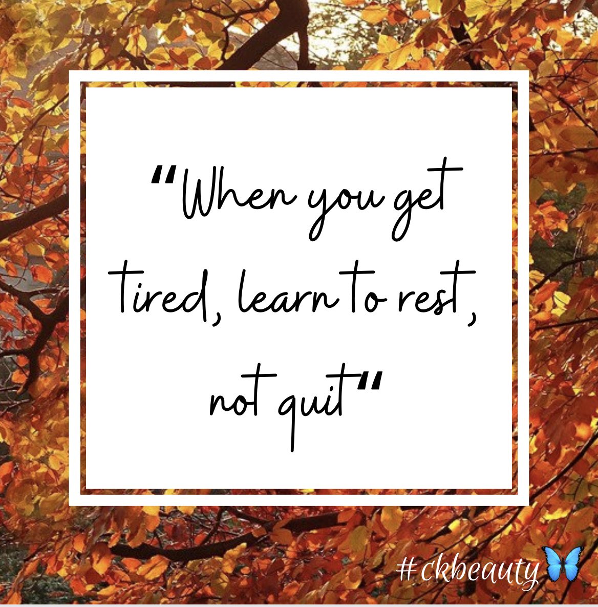 CrystalKnows's tweet photo. Pro Tip! You have to rest in order to be at your best! #ckbeauty🦋 

#motivation #inspiration #entrepreneur #selfcare #selflove #explore https://t.co/1dzNpd4ioT