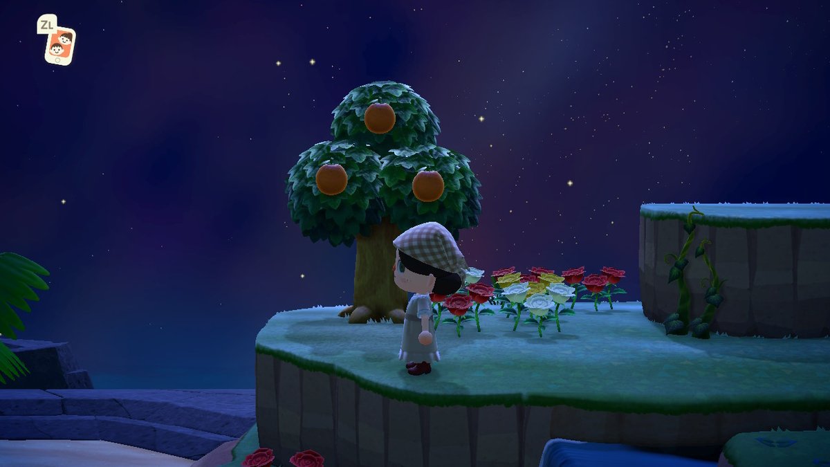 uchimayor's tweet photo. this island is so pretty!!!! #AnimalCrossing https://t.co/1Y470zwaZI