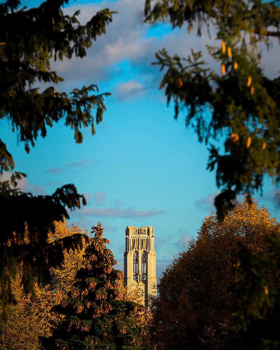 The University of Toledo tweet media