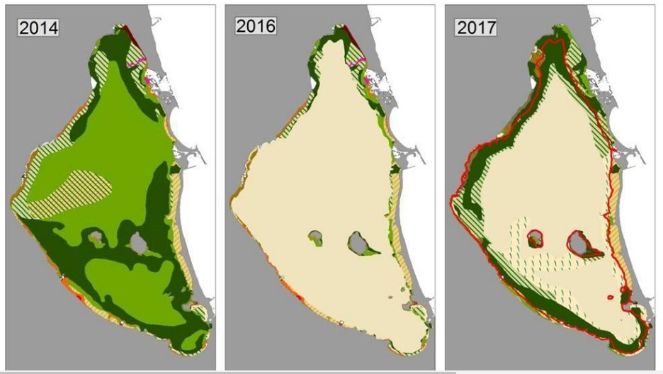 silviapm99's tweet photo. #DCSUVA #Primaria1VA #Espacio
En esta fotografía se muestra la evolución de las praderas marinas (color verde) en el Mar Menor entre los años 2014 y 2017 https://t.co/QvMPCn7Bhj