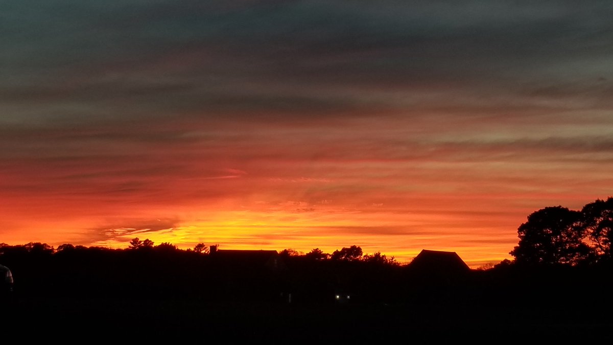 Pabsdash's tweet image. 