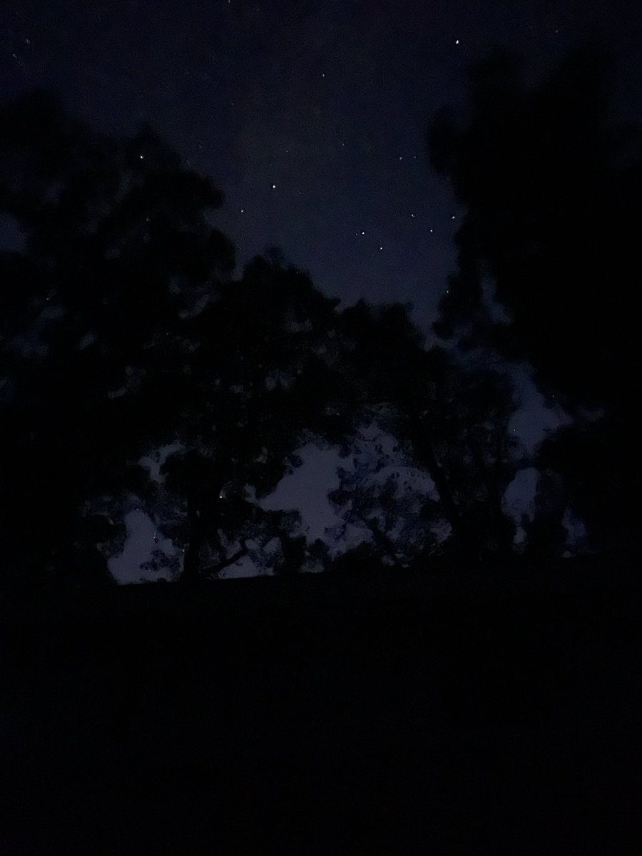 SeriouslySnofie's tweet photo. We live in the big city so it’s never super dark. But it really is here!!!! #zshq #stars #NoLightPollution #ItsReallyQuietToo 

.@4NZKWxGator https://t.co/IvwK5zM04H