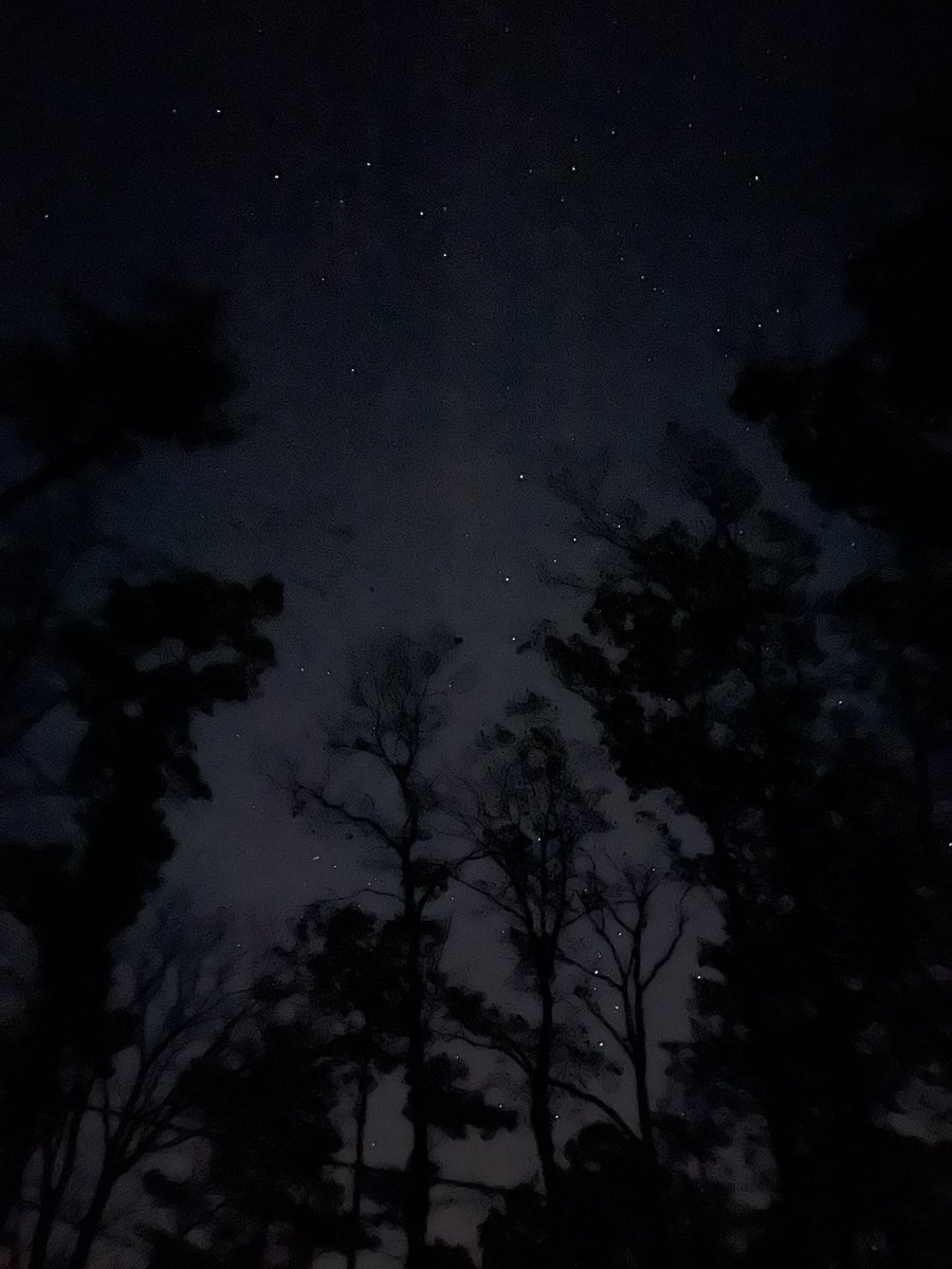 SeriouslySnofie's tweet photo. We live in the big city so it’s never super dark. But it really is here!!!! #zshq #stars #NoLightPollution #ItsReallyQuietToo 

.@4NZKWxGator https://t.co/IvwK5zM04H