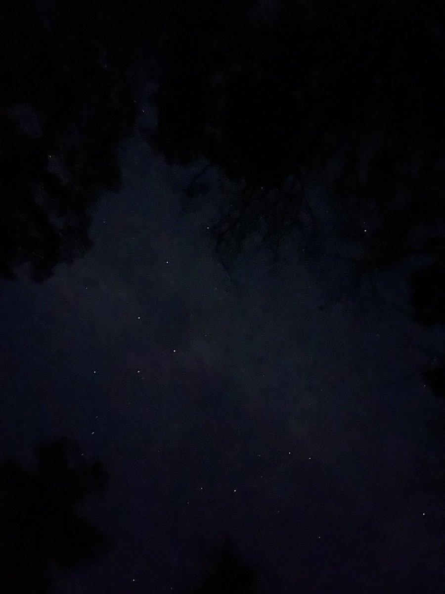 SeriouslySnofie's tweet photo. We live in the big city so it’s never super dark. But it really is here!!!! #zshq #stars #NoLightPollution #ItsReallyQuietToo 

.@4NZKWxGator https://t.co/IvwK5zM04H