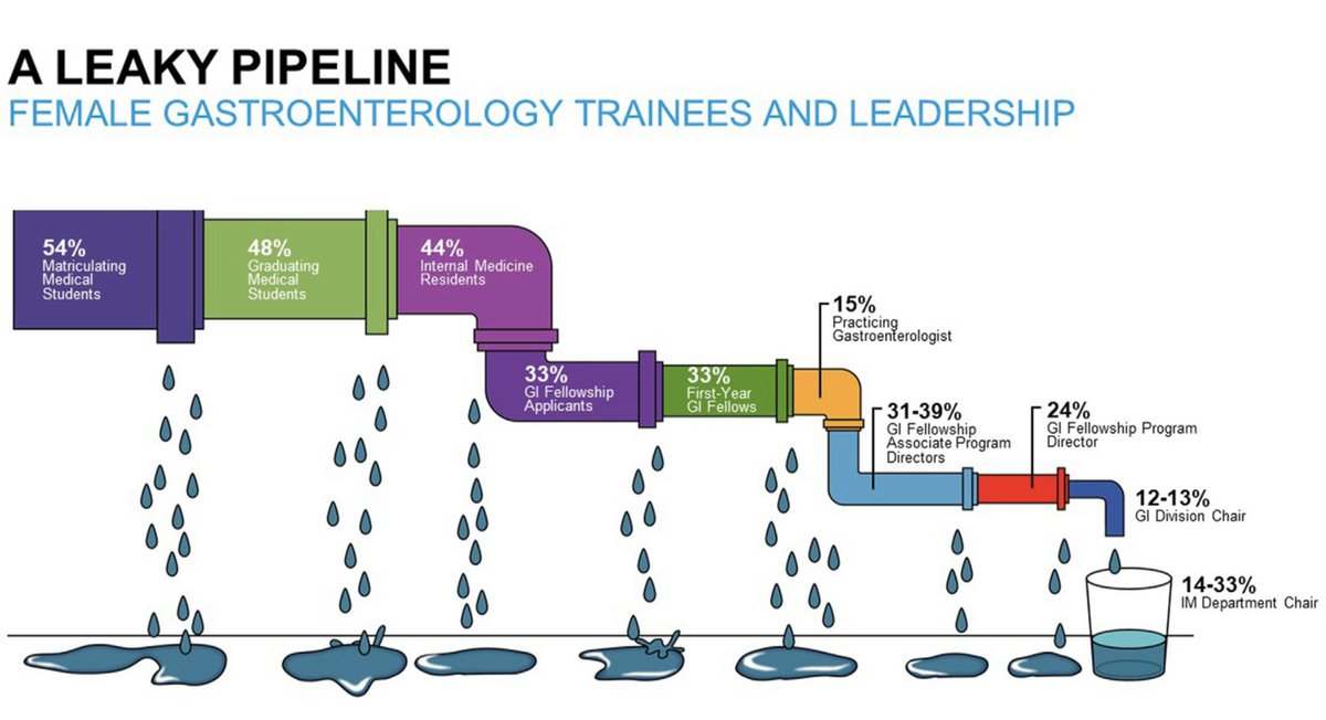 anjalibhagramd's tweet photo. Women in Gastroenterology training &amp; leadership: A Tale of Twelve Years. Finally in print. Abstract this weekend at the #MayoRISEforEquity conf by 🌟 student #NancyXiong! @MayoGRIT @BilalMohammadMD @NeenaSAbrahamMD @FergaGleeson @DougSimonetto @hmalhi👇🏽

https://t.co/4ayY5OIfHX https://t.co/54bocQ874Z