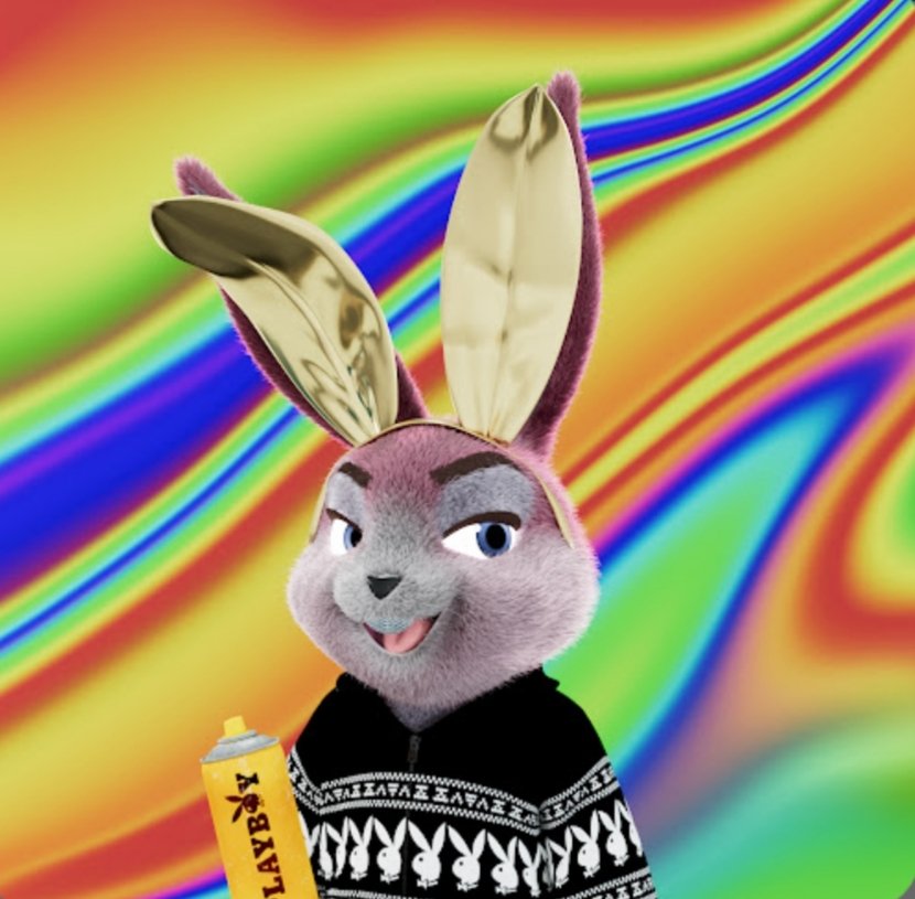 DBCRYPTO tweet media