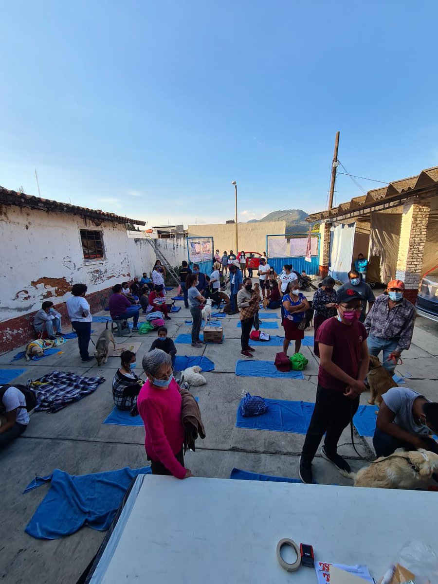 BrigadaSinRaza's tweet photo. ¡Seguimos en Colorines, Valle de Bravo! 👩🏻⚕️👨🏻⚕️ Llegaron tantos 🐕 y 🐈 que hoy haremos más de 100 esterilizaciones… 🤩 #BrigadaSinRaza #BSR #BSRColorines #BSRValleDeBravo @fundindac @AmorSinRaza @padrinosprrones @RivieraRescue @ERIFERCA https://t.co/aMbhZNDBEC