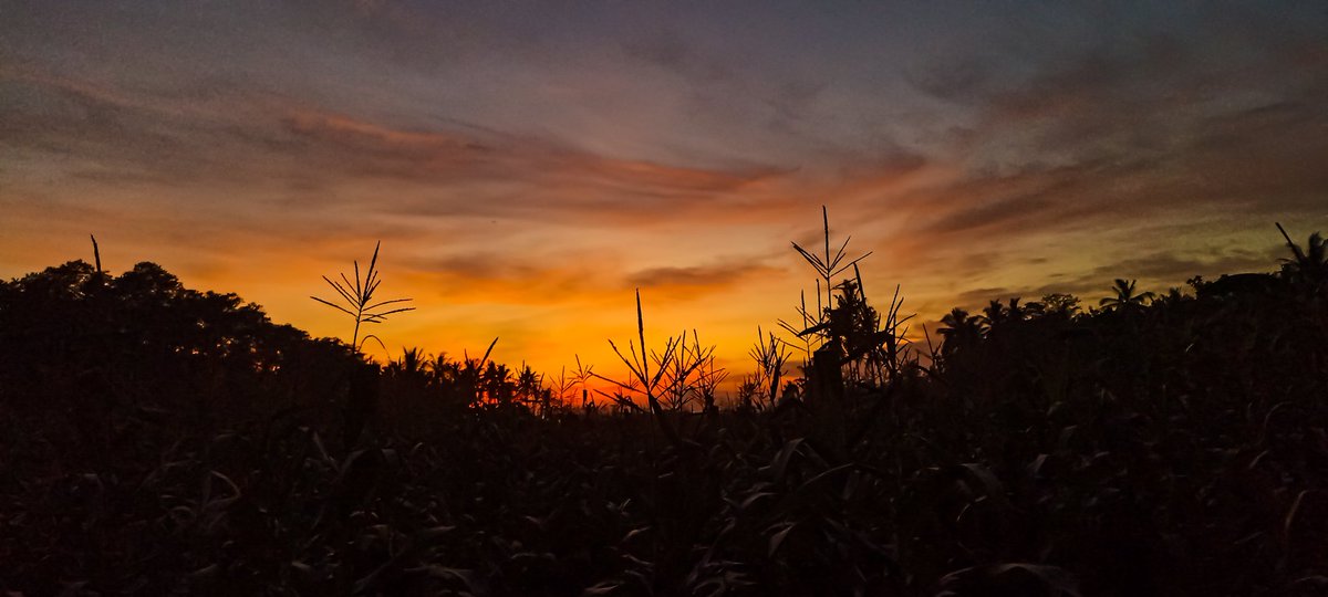 jes4nt's tweet photo. Allah Maha membolak balikan Hati β€π
#sunrise
#sunrise_pics
#sunriseofjava
#sunriselover
#sunriseoftheday
#sunrisephotography
#sunrise_sunsets_aroundworld
#banyuwangi
#banyuwangihits
#tadabburalam https://t.co/Ww9ljLnCCn