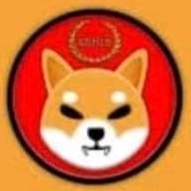 WarrenShib's tweet photo. It is time to grow like the Foam.  Soon to the moon!  #NuevaFotoDePerfil #SHIB #ShibaArmy #Hold https://t.co/8ddWOxr43Z