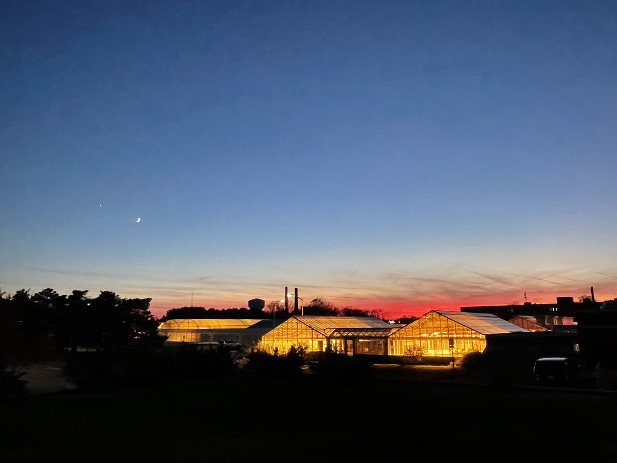 _ZunLin's tweet image. 