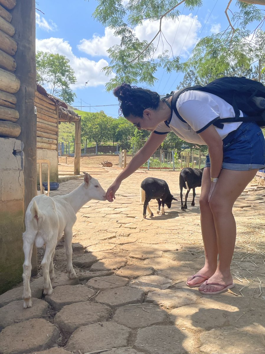 Taina com Y ☀️ tweet media