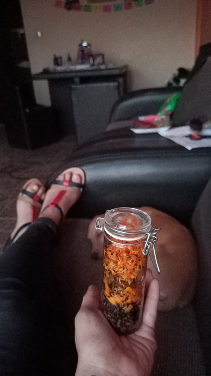 Berecasting's tweet image. Flor de cempazúchitl .. y sus semillas...