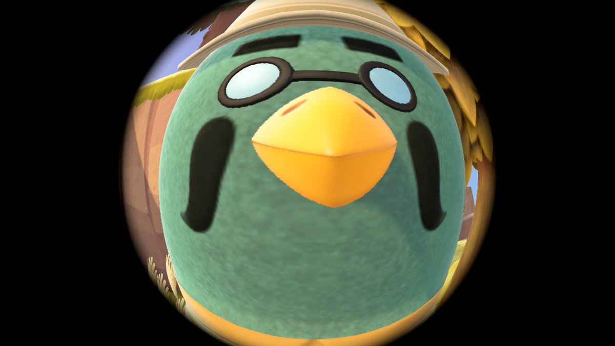 AprilstarrAC's tweet photo. #AnimalCrossing #ACNH #NintendoSwitch https://t.co/sFZeGjKCil