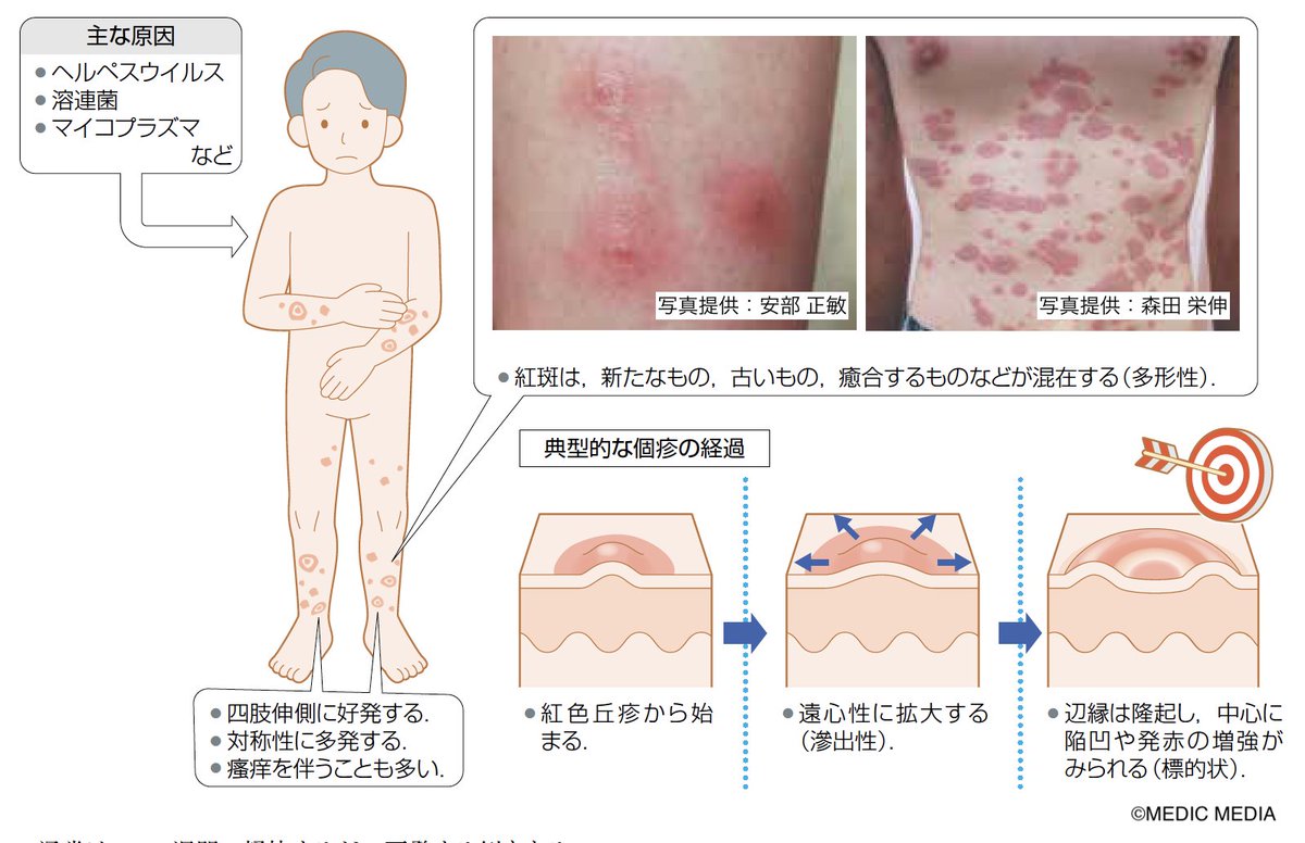 活動歴および当時の関連ビジュアル記録