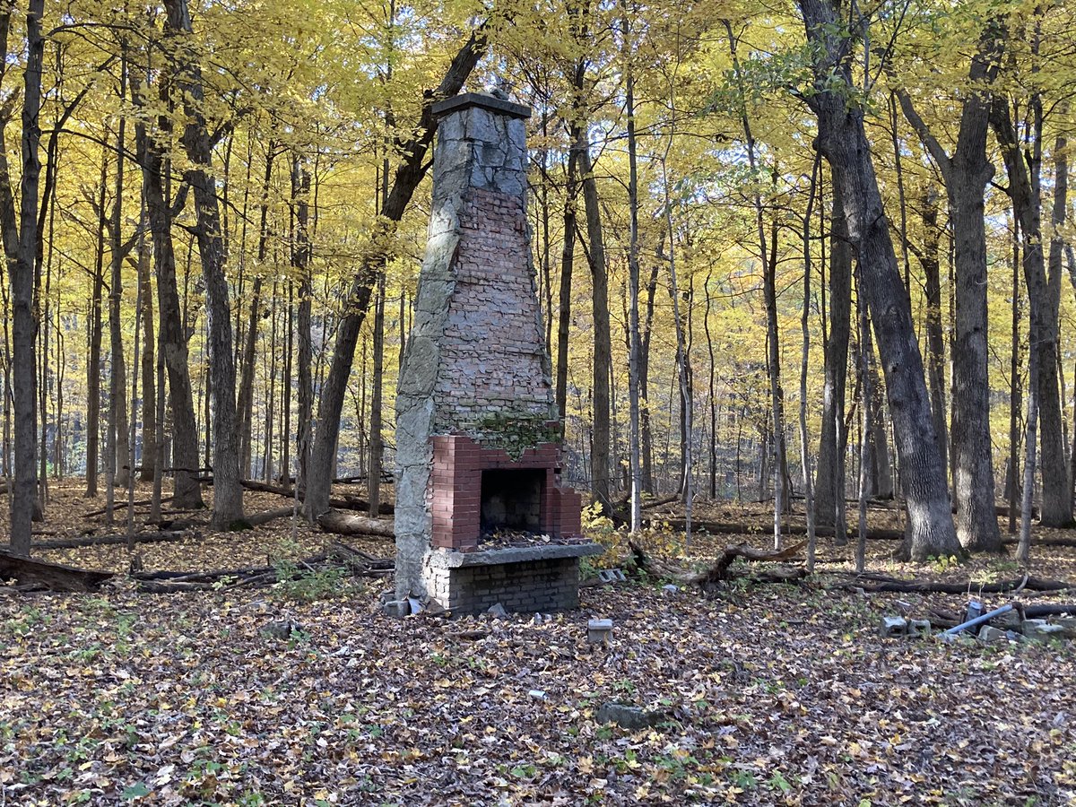 joco0614's tweet photo. Some photos from my afternoon walk in the woods. #TwitterNatureCommunity #PeakColor https://t.co/bXNmB2AmSU