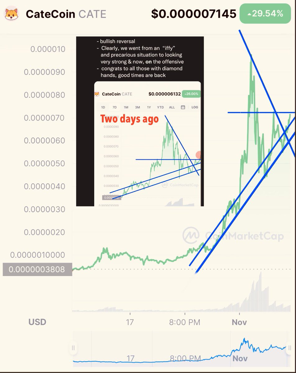 Trader4lyf's tweet photo. #CATE Update: 

- Two days ago I said #cate  is “out of the woods”, chill
- Today #CATE isn’t only “out of the woods”, it’s in the parking lot of the Wild Park Reserve
- Grab more VOL if you had underbet, speed up

#catecoin 
#CateArmy 
#TAParmy 
#nextshiba
#100xgem
#teamCATEkat https://t.co/cyzPeZN1Af