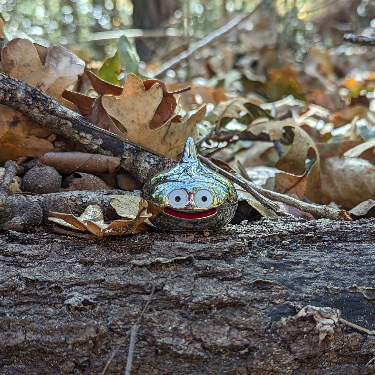 マーク (@kobuta_48) on Twitter photo 