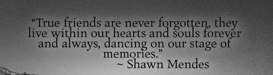 princessmadiro's tweet photo. I lost one of my best friends this year. I don't know when @ShawnMendes said this but ❤️ https://t.co/4Hd2WiephR