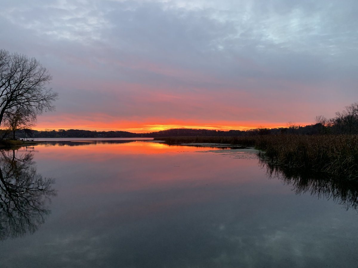 Jackie Treehorn tweet media