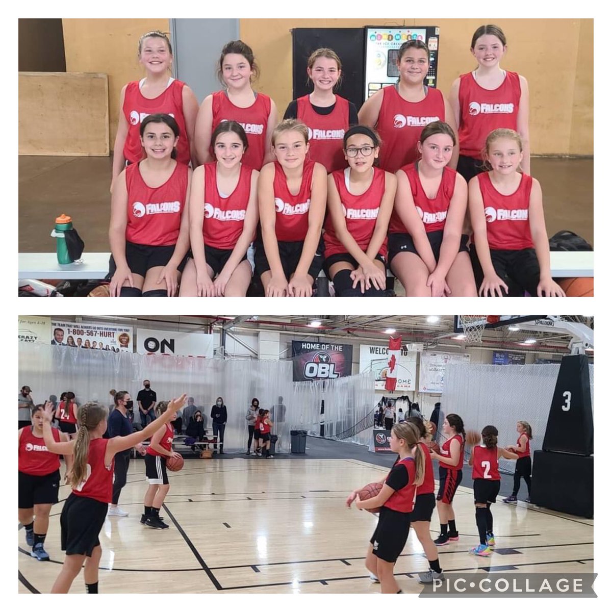 bcyogirlsbball's tweet photo. Great weekend for our youngest teams participating in OBL! Super proud of all our girls! @OBABBall #Brantfordbasketball #cyogirls #playlikeagirl #NewSeasonNewLook #backonthecourt #brantford https://t.co/Ycd3cxAxXC