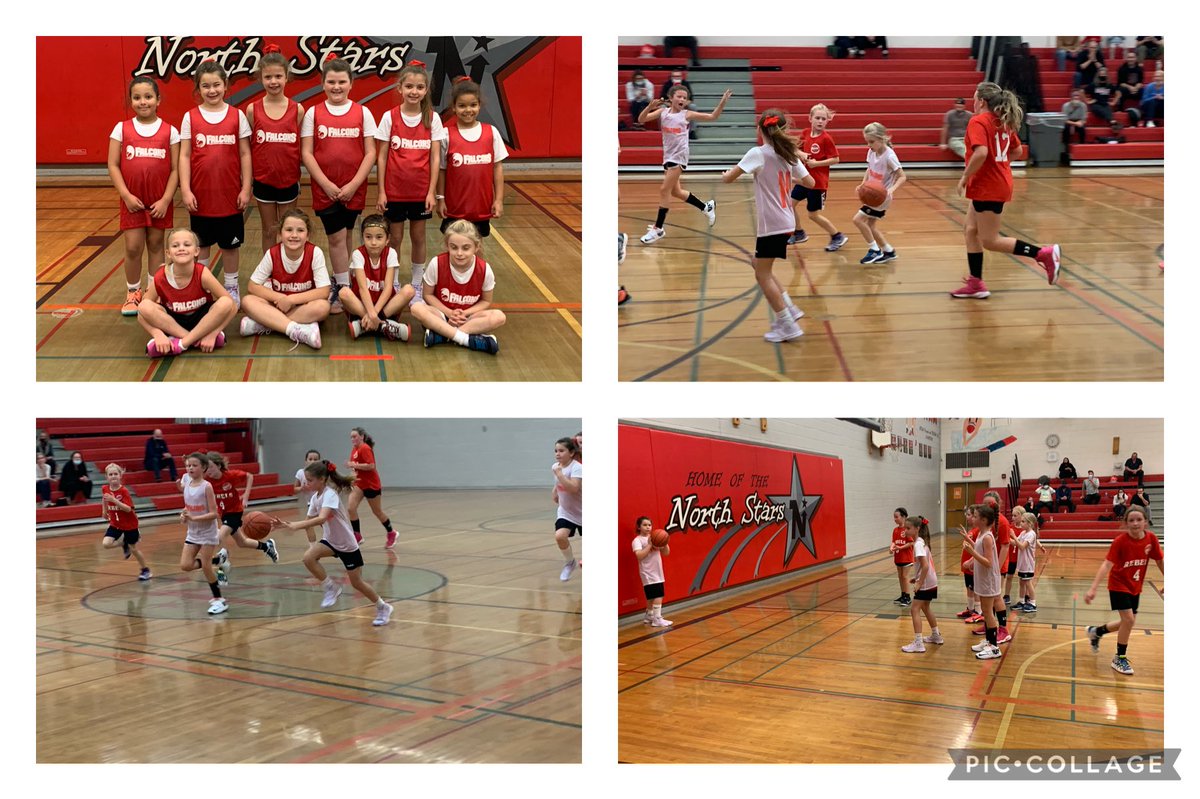 bcyogirlsbball's tweet photo. Great weekend for our youngest teams participating in OBL! Super proud of all our girls! @OBABBall #Brantfordbasketball #cyogirls #playlikeagirl #NewSeasonNewLook #backonthecourt #brantford https://t.co/Ycd3cxAxXC