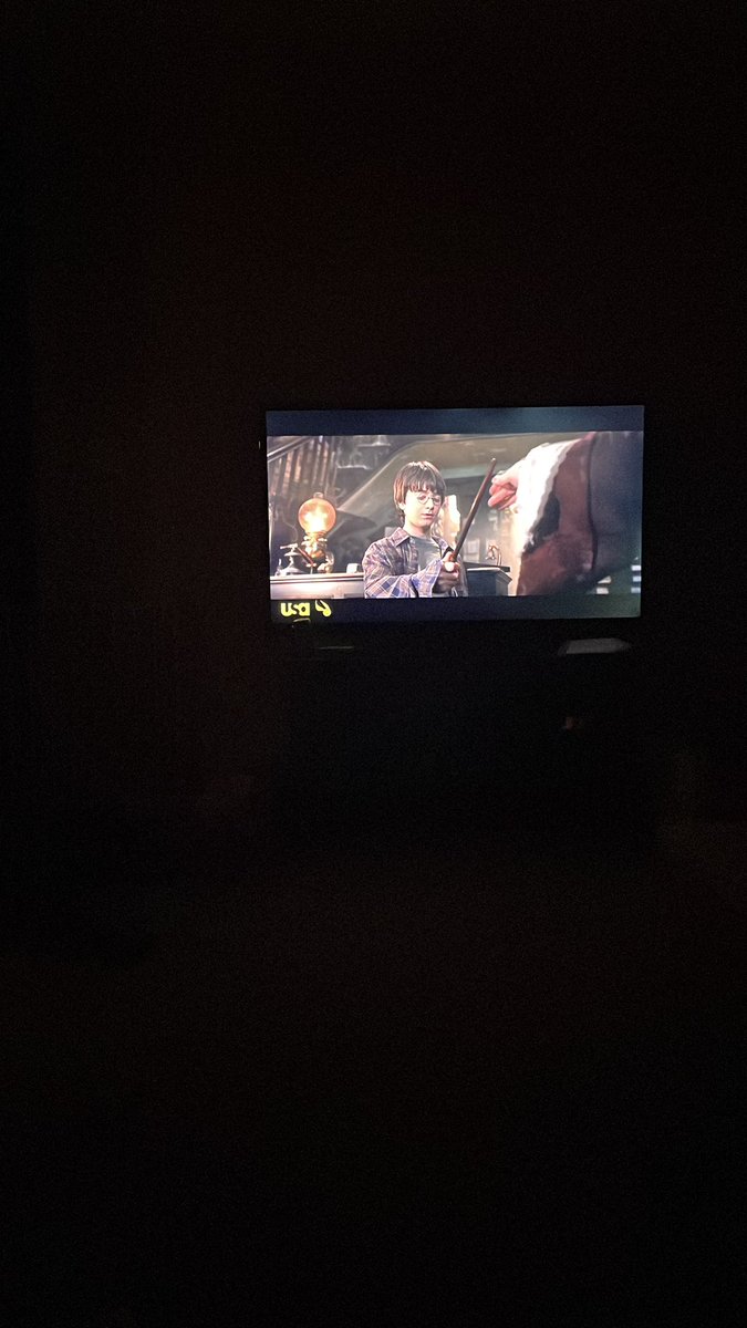 jenngrinestaff's tweet photo. Did I also ignore every home-owning responsibility to pet a stray cat, dye my hair, and watch the whole Harry Potter series only to re watch from the start? Yes I did. https://t.co/UXkwRv8j97