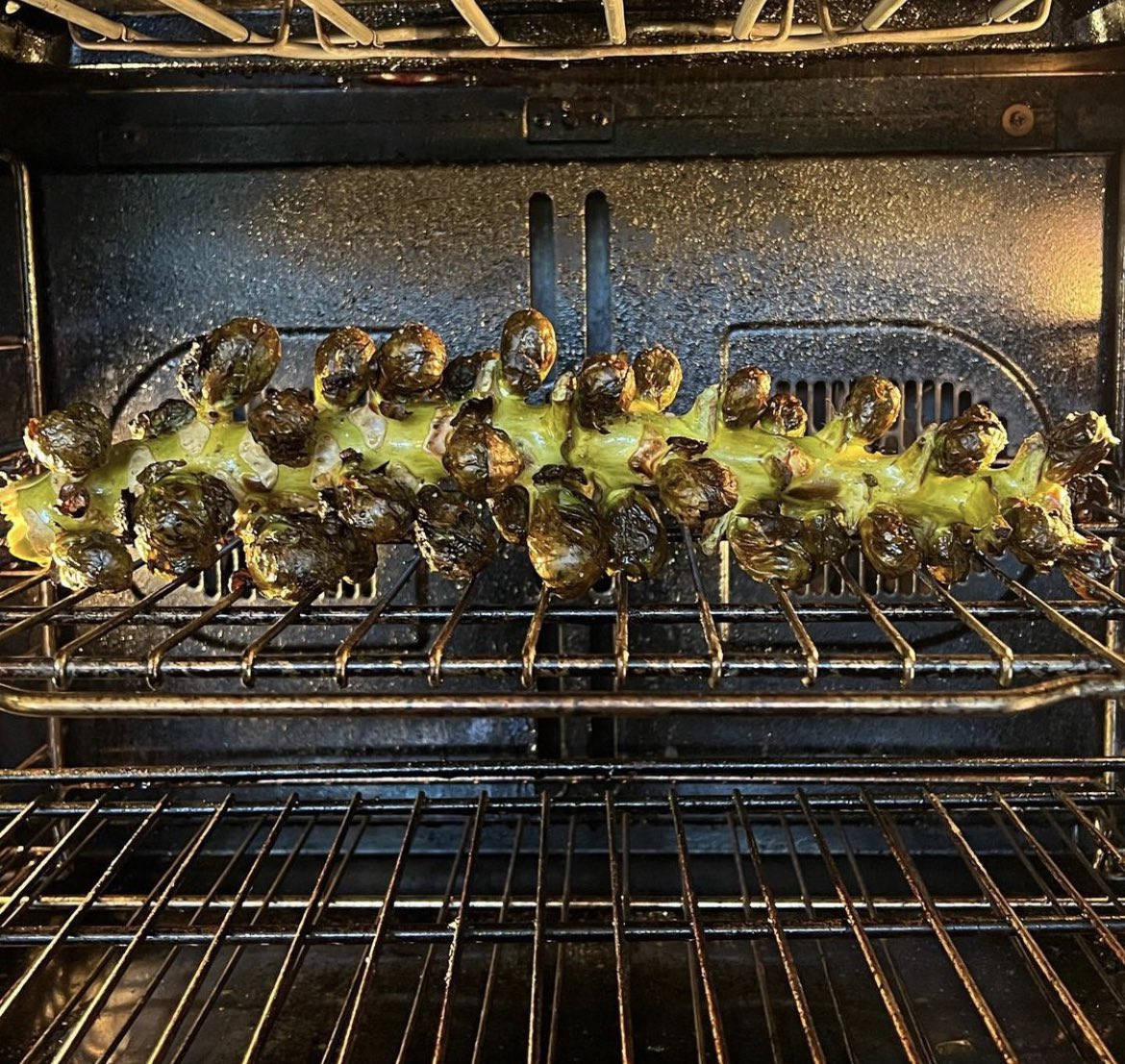 NutritionShari's tweet photo. THE MOST FUN WE HAD EATING VEGGIES!  3-Steps: Spray. Season. Roast. Eat right off the stalk! 👉Spray stalk w avo oil, season, 👉put on oven rack, 👉and roast at 425 for 25 min.  I added a sprinkling of grated Parm.  Serve the stalk and let everyone slice off their own Brussels🍴 https://t.co/ErH5dlAlLx