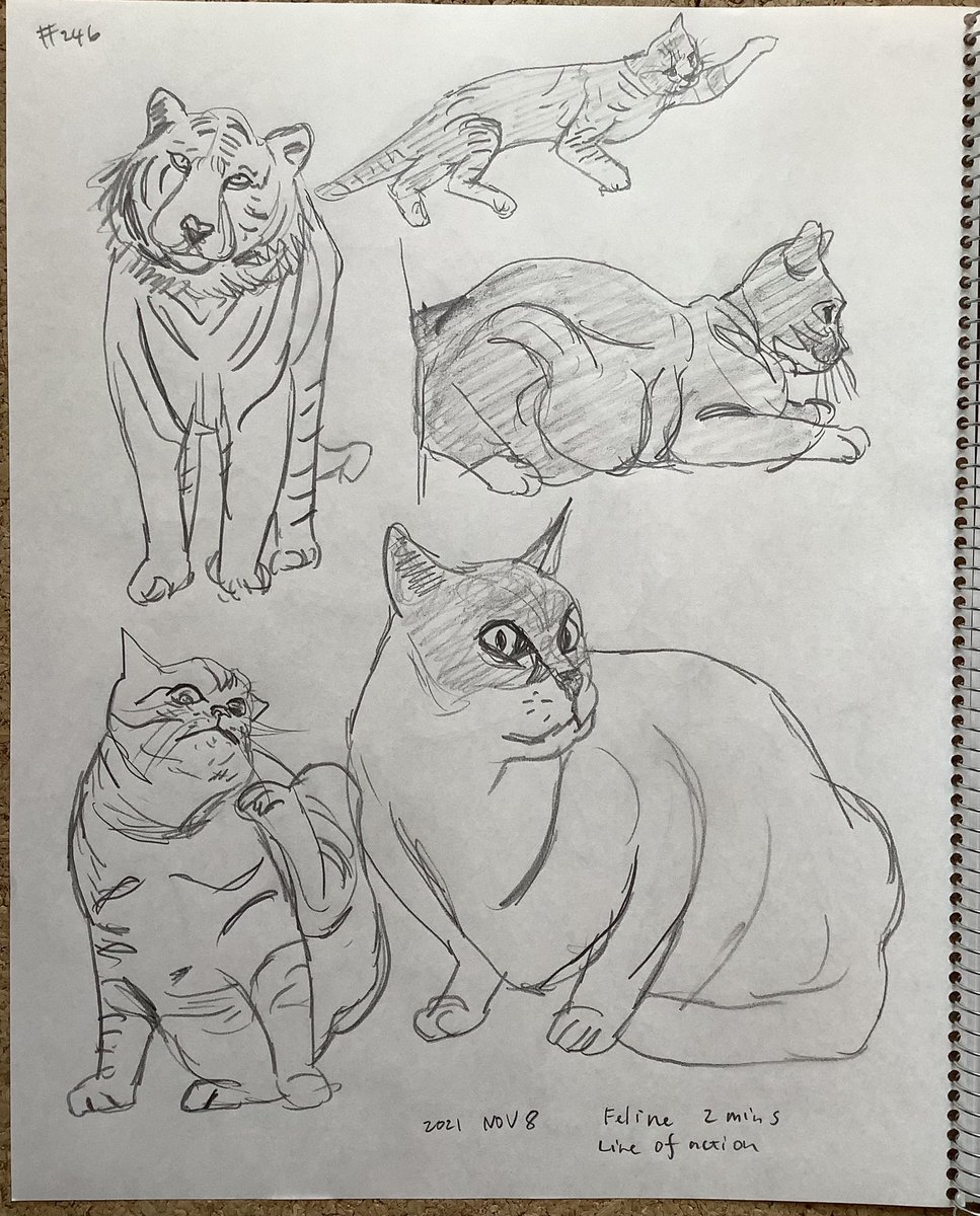 Mollykinoco's tweet image. #lineofaction #croques 246回目（木曜のじぇすどろ245回目）
人物60s猫科動物2分。