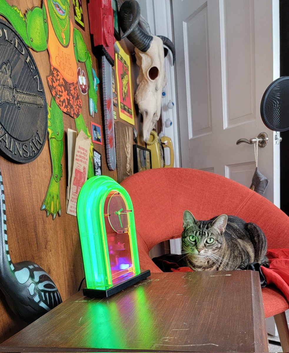 Chelsea Rebecca 💀🥩 tweet media