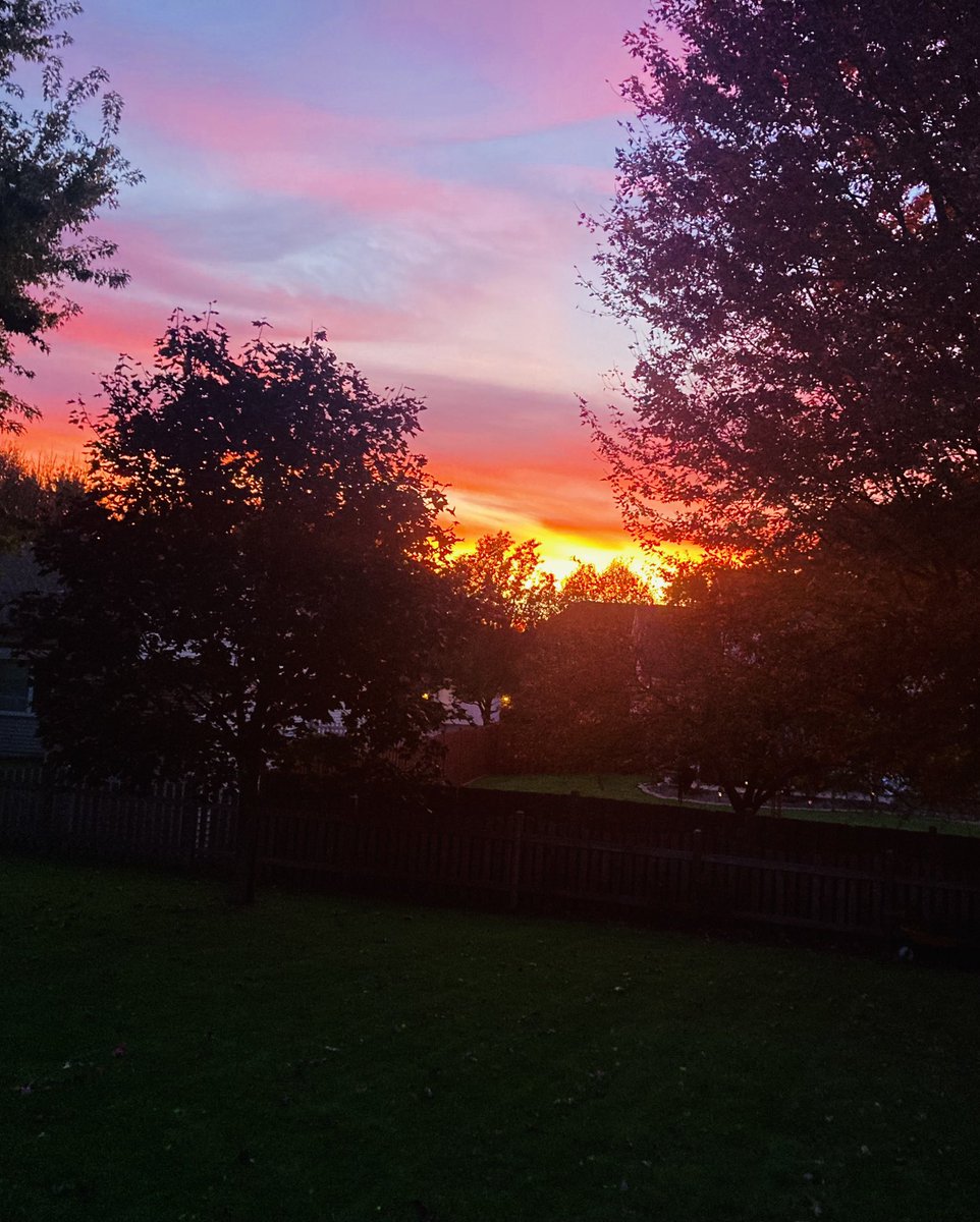 TWags15's tweet photo. Beef ribs, backyard sunsets ‘n no Bears game to stain a banner Sunday. #FlintstonesDinner #Fall #Football #OutdoorCookin #OutdoorLivin https://t.co/GzbSarLo6q
