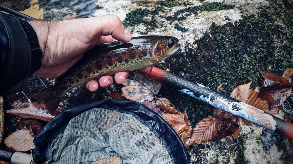 TenkaraTanuki's tweet photo. Despite the weather was tough, fishers were still enjoying fishing. Thanks to all fishers who tested the Shinobi 395.

#tenkara #tanukishinobi395 #tanukirod #tenkararod #tenkaratanuki #tenkarafishing #tanukifishing #euronymphing https://t.co/2WoJSQr27l