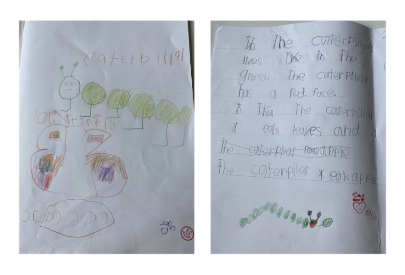 MsSSal_1's tweet photo. Just like little caterpillars, our students emerged as butterflies and are outstanding little writers. Well done Kindy on your growth in writing, from beginning of the year to now! @EFilacouridis @BelmoreSouthPS https://t.co/1f4R77pWSi
