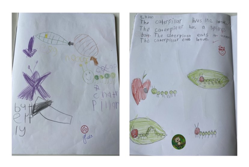MsSSal_1's tweet photo. Just like little caterpillars, our students emerged as butterflies and are outstanding little writers. Well done Kindy on your growth in writing, from beginning of the year to now! @EFilacouridis @BelmoreSouthPS https://t.co/1f4R77pWSi