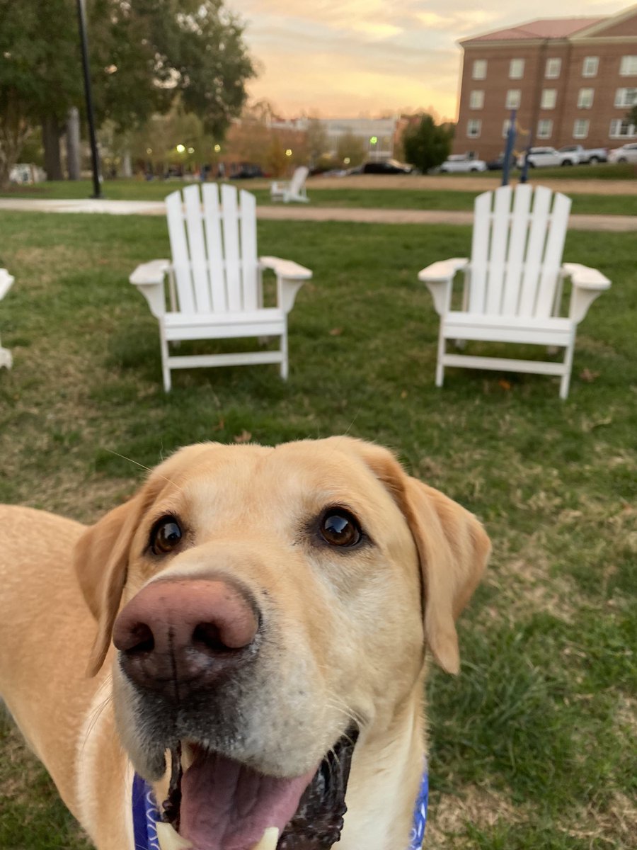 maddiewalt13's tweet photo. happy boy on campus https://t.co/ayRdPqxZzu