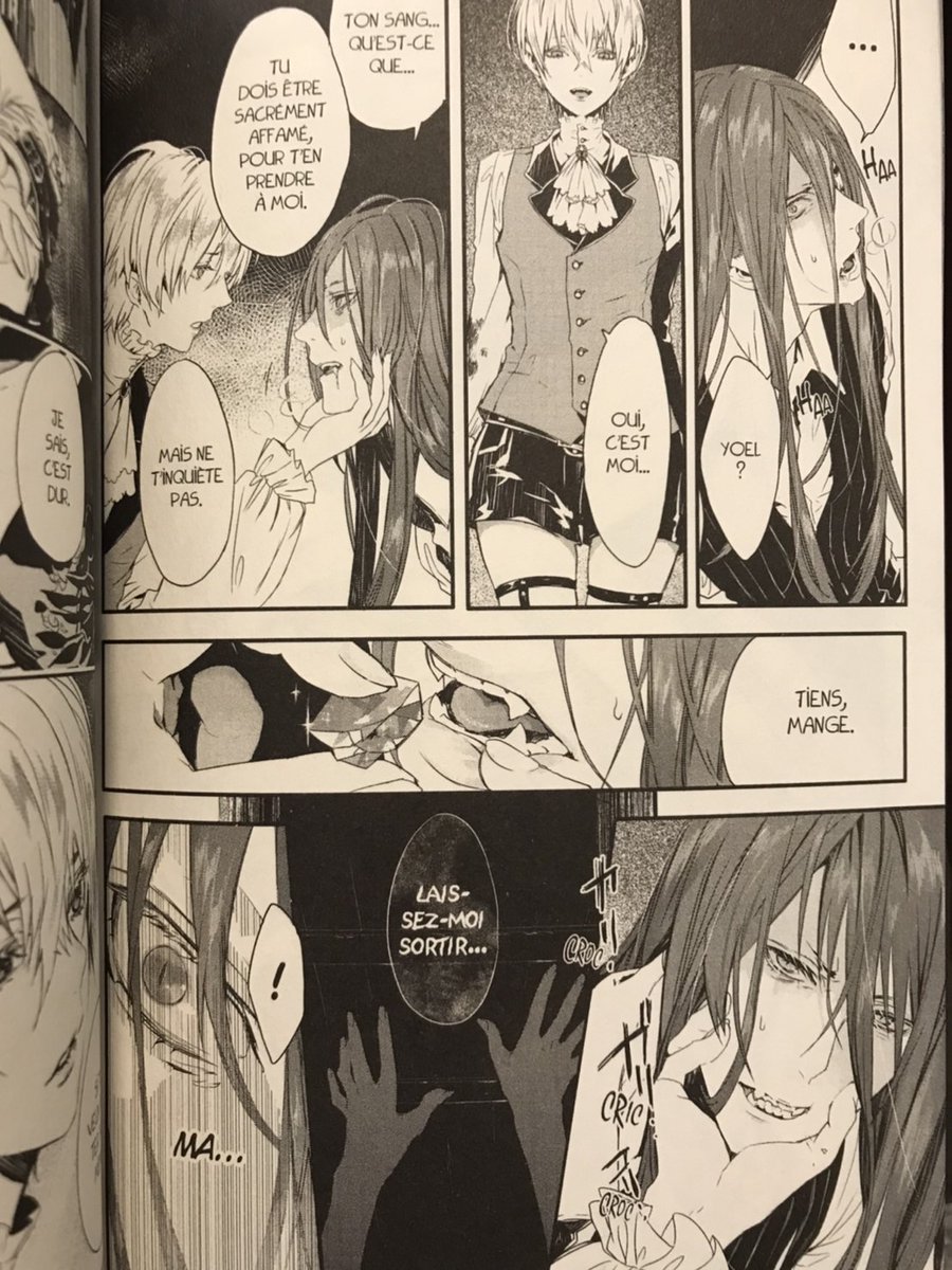 フランス語版Rosen届きました^^
日本語版よりほんの少し大きいです。凄い、フランス語で喋ってる…!
#RosenBlood 