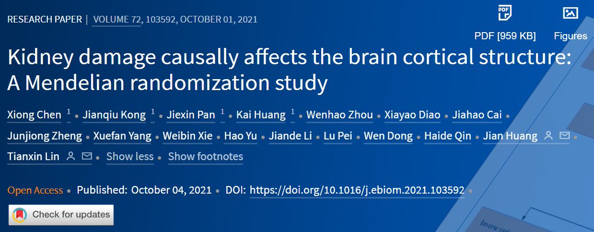 eBioMedicine's tweet image. Editor’s pick from our Oct issue: Drs Lin, Huang &amp;amp; coll from #SunYatSenUni conducted a #mendelianrandomization study indicating that kidney damage causally affects the brain cortical structure, suggesting the potential existence of kidney-brain axis.

Read bit.ly/3EX0Sgz