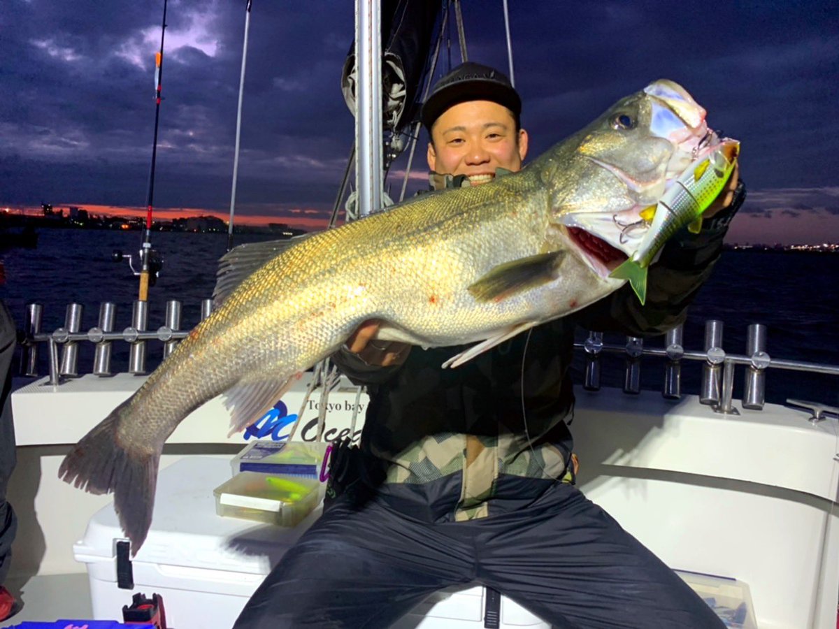 colaxz_18's tweet photo. ｢ダウスイは飲み物です｣

信じて投げ続けて良かった。

Tackle data
《Rod》Huerco XT610-4C+
《Reel》SHIMANO Scorpion MD 301XG
《Line》PEライン 3号　
　　　　VARIVAS VEP SHOCKLEADER 40LB.
《Lure》JACKALL DOWZ SWIMMER 220SF https://t.co/xXiGbPPfEr