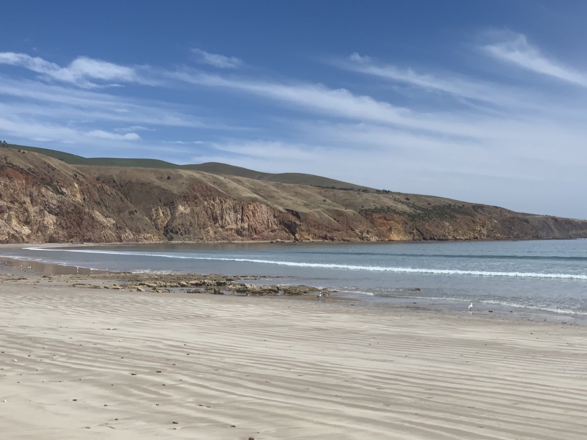 KateSinclair's tweet photo. Day off last Friday = ✅ First beach swim of the season🌊✅First sunburn 😕 ✅Happy hounds ✅Happy humans ❤️ #beachtime #sellicksbeach #summerisclose 🌞 https://t.co/lHUxpCZ8Kf