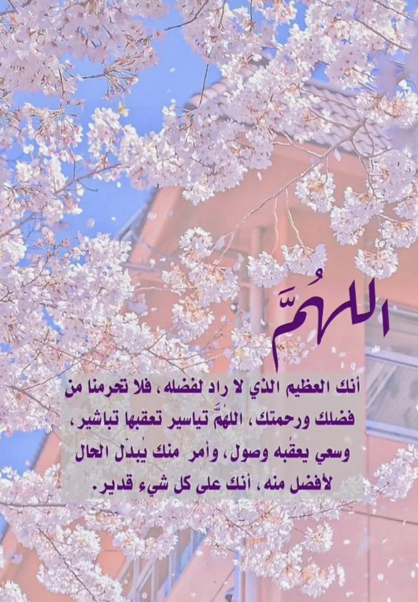 Hano (@hano300x) on Twitter photo 