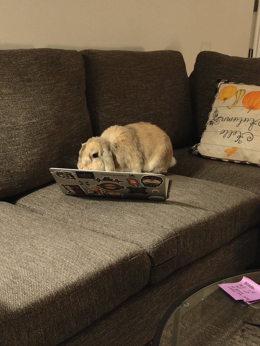 Stark_axie's tweet photo. Don't worry @mysticsmages , appa is paying you out when @mystic_scholars and @MMedillan are busy !! https://t.co/Fxilnt9eb3