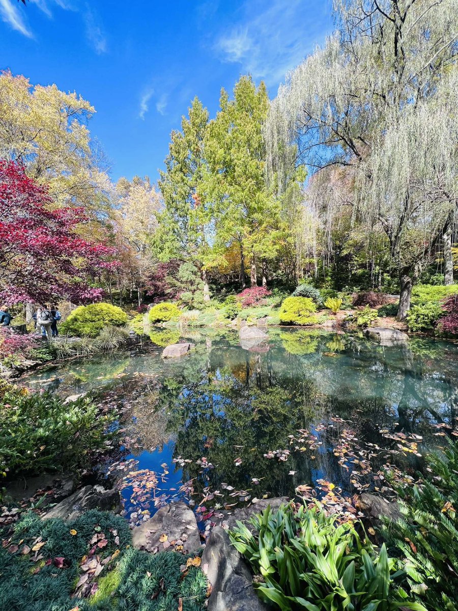 breana__shields's tweet photo. ~ I stole this from someone’s snapchat story but it’s too pretty not to share ~ https://t.co/4SbFqvLHEV