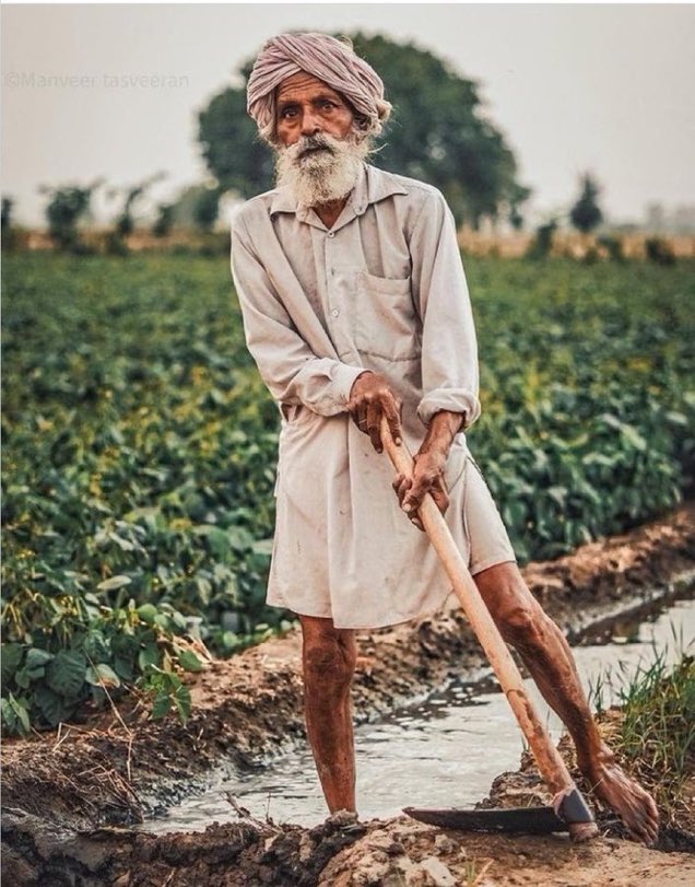 rajmorcha's tweet photo. GOI implemented three agricultural trade laws during COVID,without discussing these with Farmers unions.If Corporates get hold of the agricultural market,every family will have to pay twice the amount of money for food.

 #ModiFailedIndianFarmers https://t.co/hW5TNvsHPO