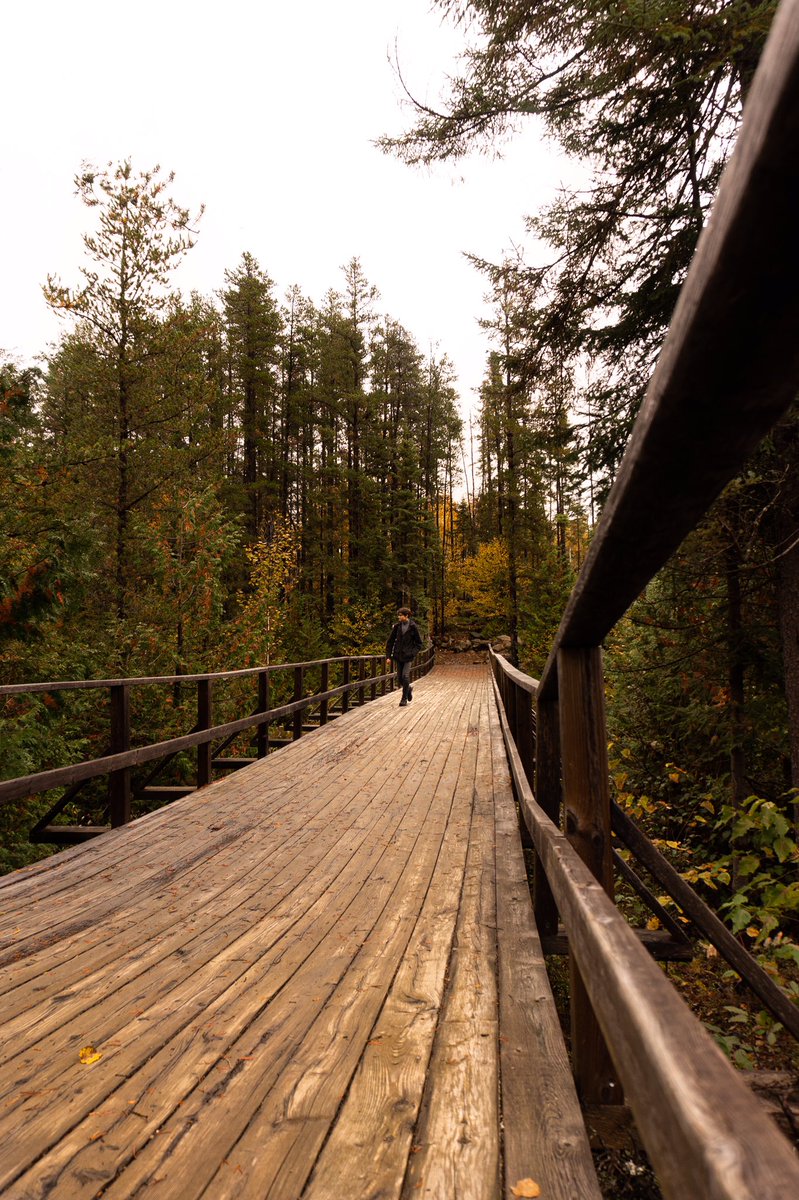 polyiesther's tweet photo. Quelques photos de l’automne au Canada 🍁 https://t.co/RRzXgo8k4O